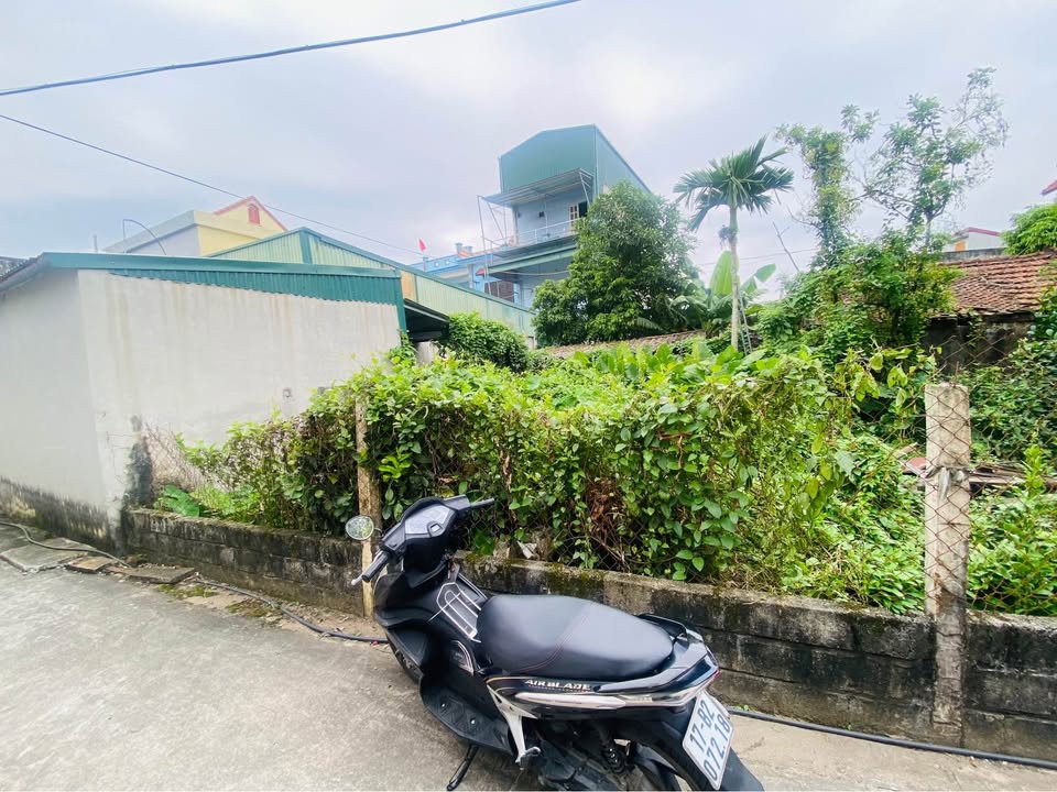 Đất nền Đông Hòa, Thái Bình 50m² chỉ 500 triệu - Cơ hội vàng cho nhà đầu tư!