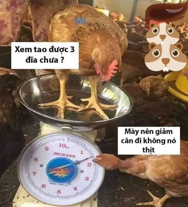 Đất nền 1485m² mặt tiền 40m tại Cư Êbur, Buôn Ma Thuột - Giá chỉ 1.8 tỷ