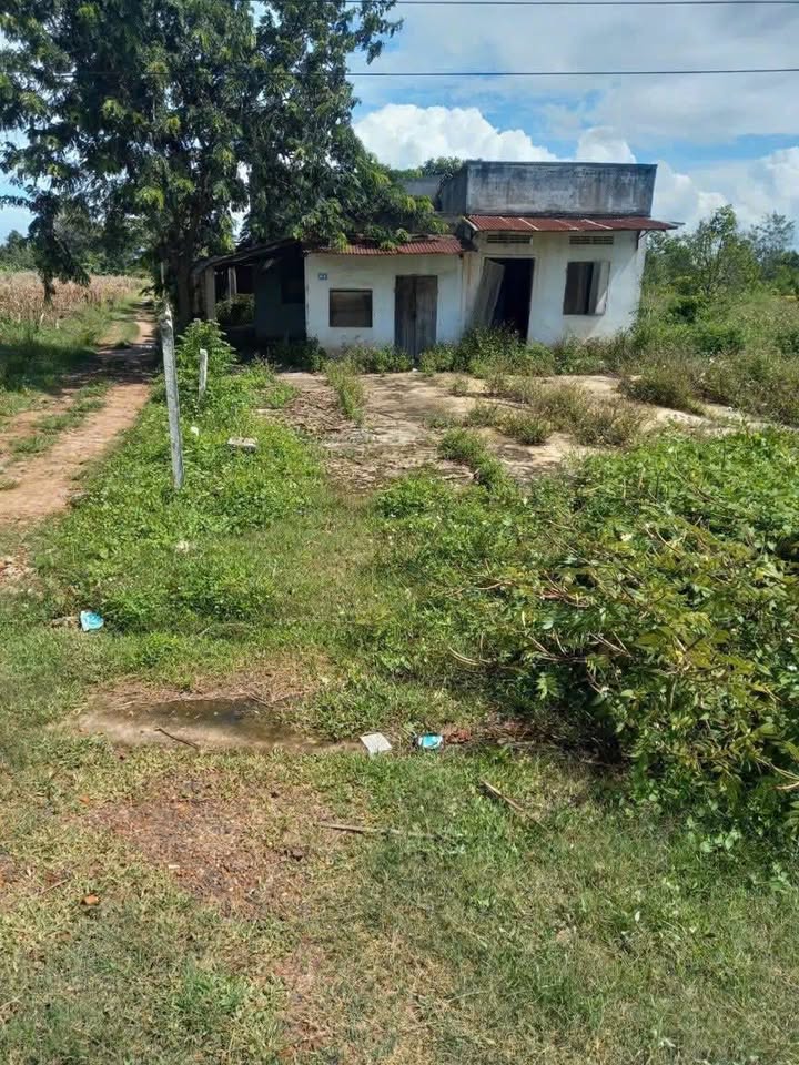 Đất nền Tân Tiến 450m² giá 1.55 tỷ - Mặt tiền đường lớn, kinh doanh thuận lợi!