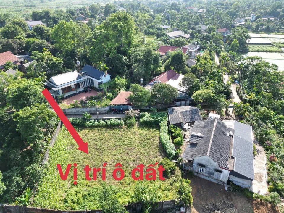 Bán đất thổ cư tại xã Đan Thượng, Hạ Hòa, Phú Thọ 700m² giá 1 tỷ - Cơ hội đầu tư tuyệt vời!