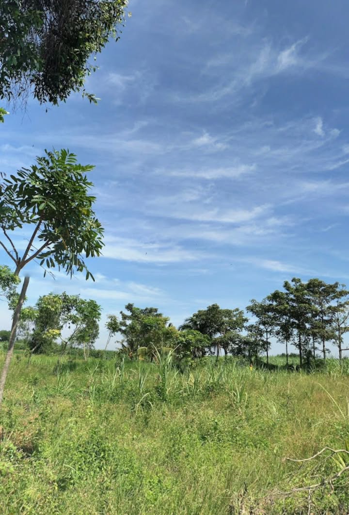 Đất nền 1100m² tại xã Đại Phước, Nhơn Trạch - Giá chỉ 3,1 tỷ!