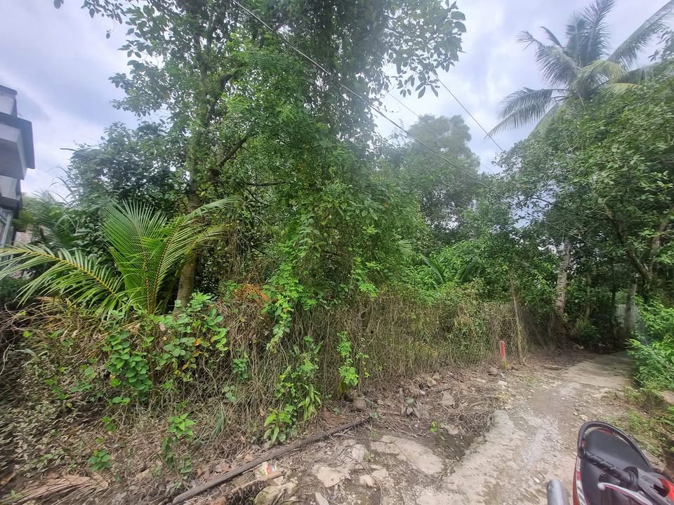 Đất CLN 265m² phường Long Phước, Quận 9 - Giá 2.5 tỷ, đầu tư sinh lời!