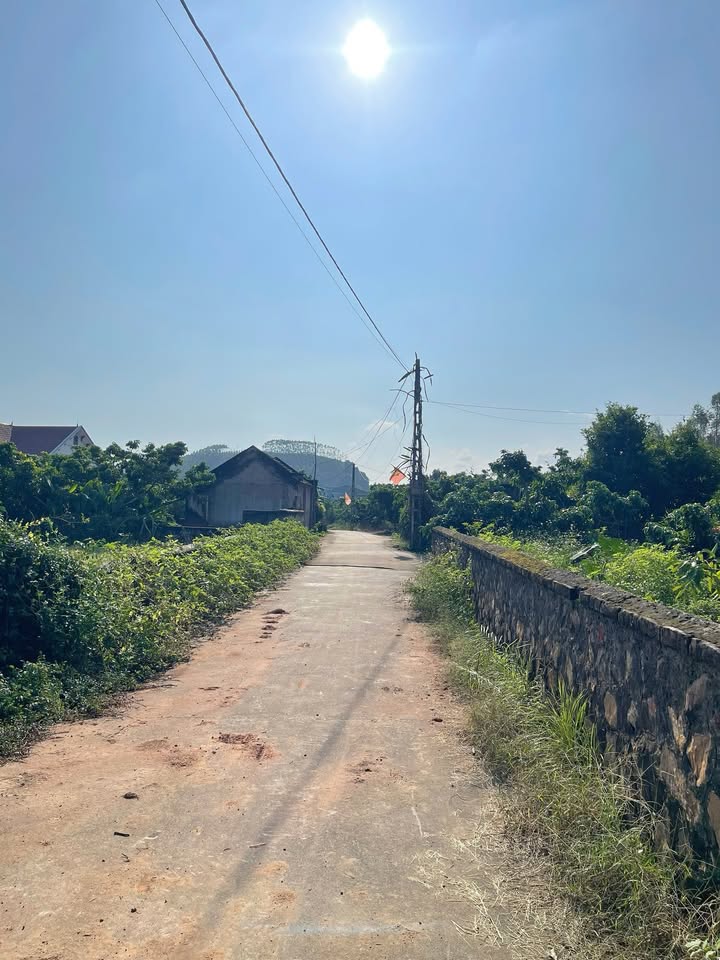 Lô vườn 1800m² tại Vô Tranh, Lục Nam - Giá 1.9 tỷ - Tiềm năng sinh lời cao!