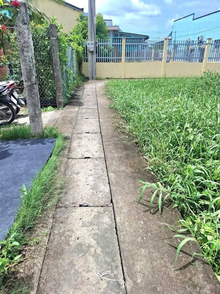 Nhà phố Cánh Buồm Gò Công Đông 176m² giá 650 triệu - Chính chủ bán gấp!