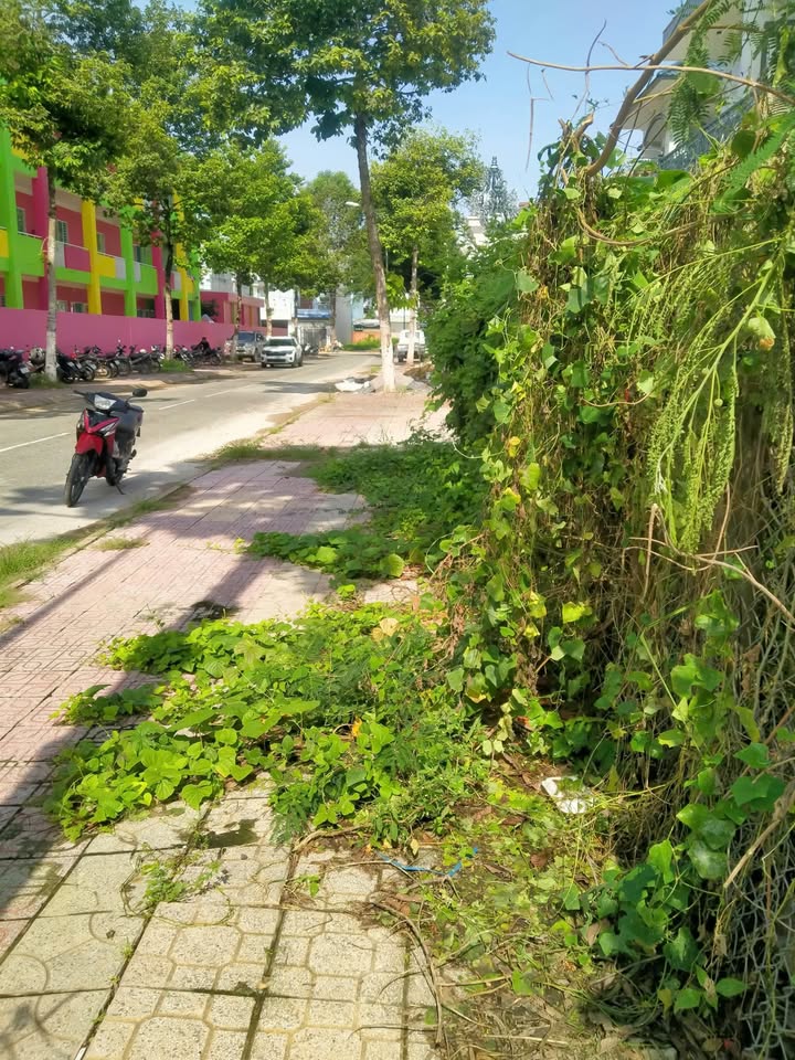 Đất nền biệt thự TICCO Trương Định 300m² giá 5.4 tỷ - Đầu tư sinh lời hấp dẫn!