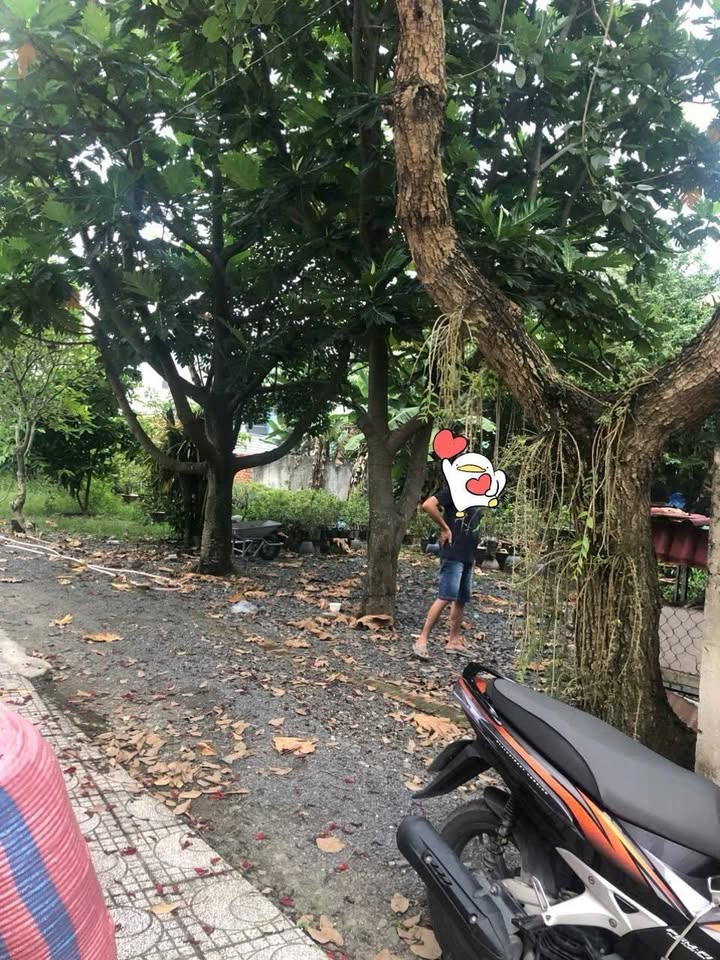 Đất thổ cư Tân Hiệp 58m² giá 1,9 tỷ - Sổ đỏ chính chủ, xây dựng tự do!