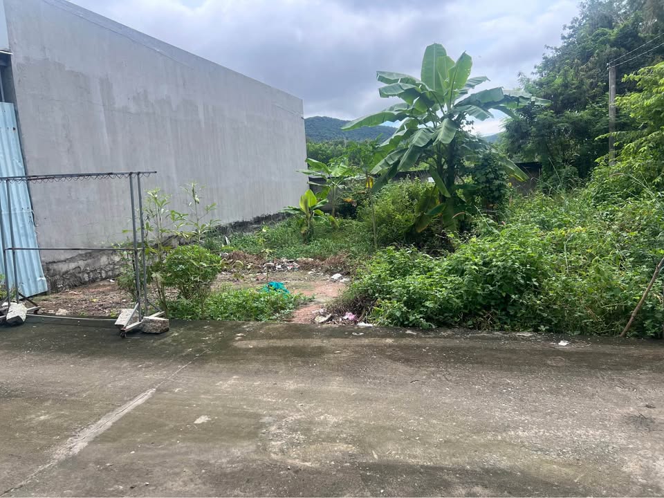 Đất góc 2 mặt tiền đường nhựa Tim Vàng, Tam Phước 190m² giá 1.38 tỷ - Cơ hội đầu tư sinh lời!