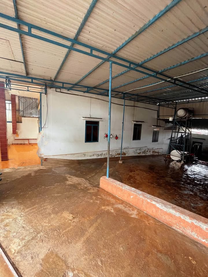 Lô đất xây nhà vườn đẹp tại Pleiku, 253m² - Vị trí trung tâm thuận tiện!