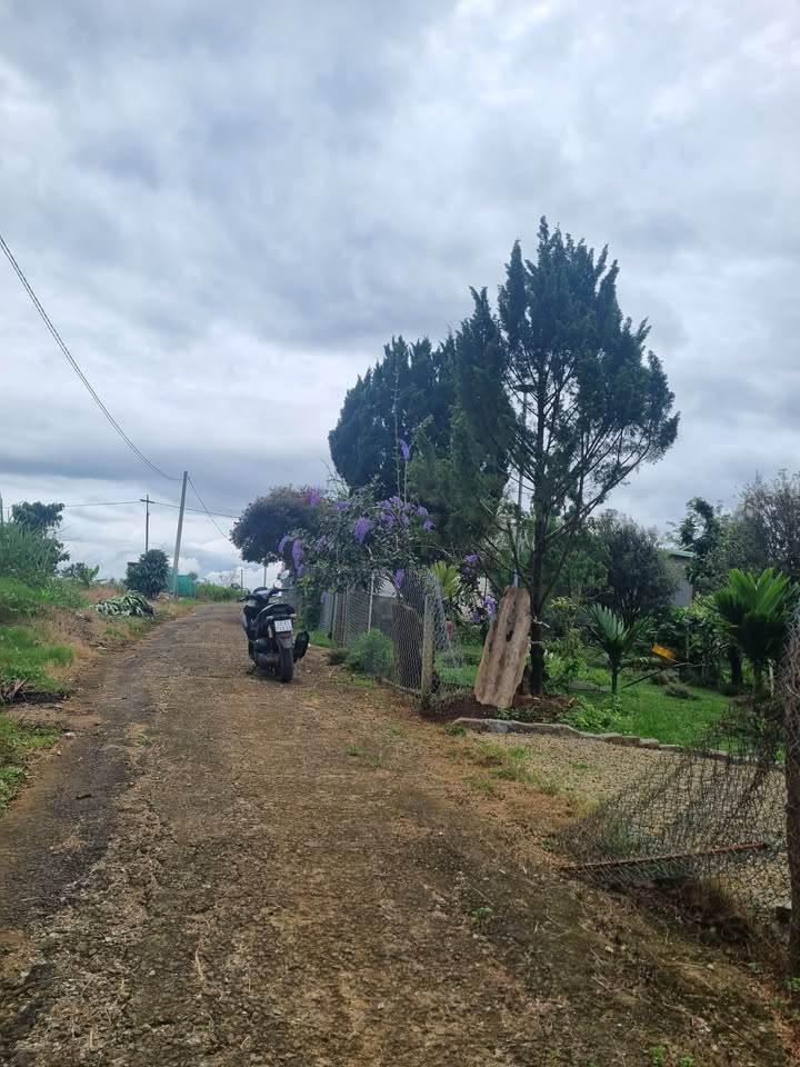 Đất nền Bảo Lộc 720m² giá 1.8 tỷ - Gần Ủy ban phường 2!