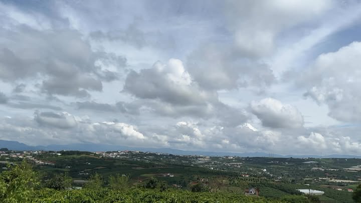 Đất nền Tân Hà 10.800m² giá 1.7 tỷ - Sổ đỏ chính chủ, thương lượng tốt!