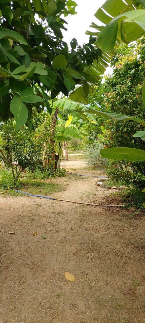 Đất vườn Diên Tân, Diên Khánh 2.276m² giá 5.8 tỷ - Lý tưởng cho nghỉ dưỡng