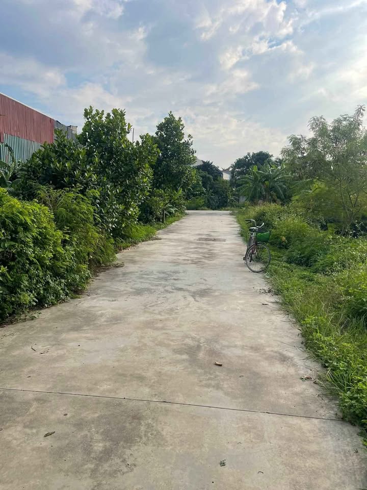 Đất Bạch Mai, An Dương 63m² giá 1 tỷ - Vị trí đắc địa, cơ hội đầu tư tốt!