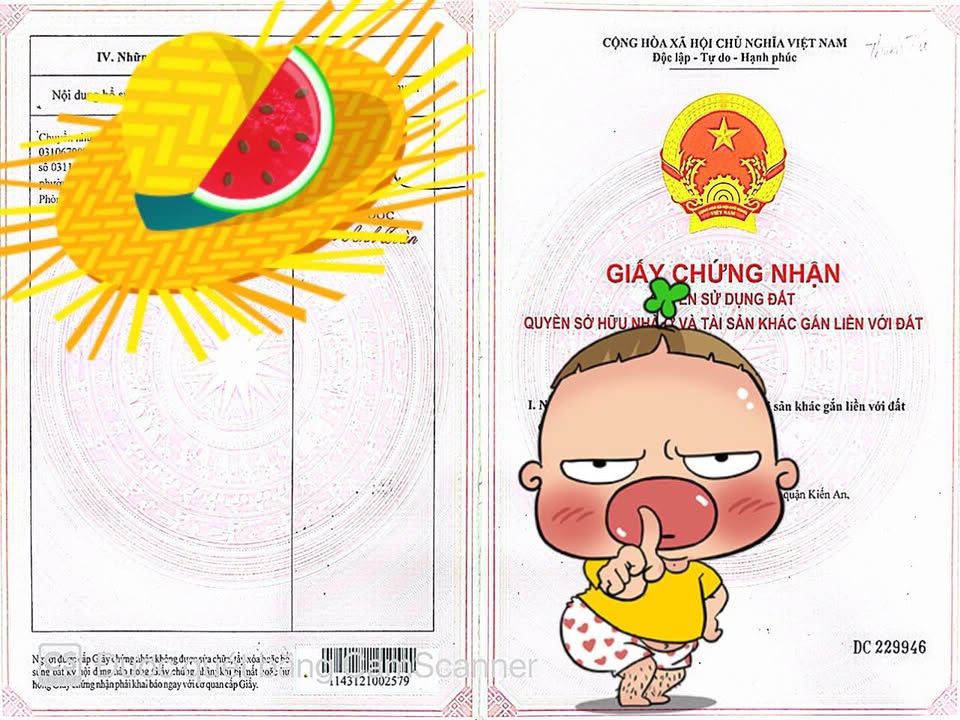 Nhà 1 tầng tại Đồng Hòa, Kiến An 80m² giá 4.1 tỷ - Vừa ở vừa kinh doanh!