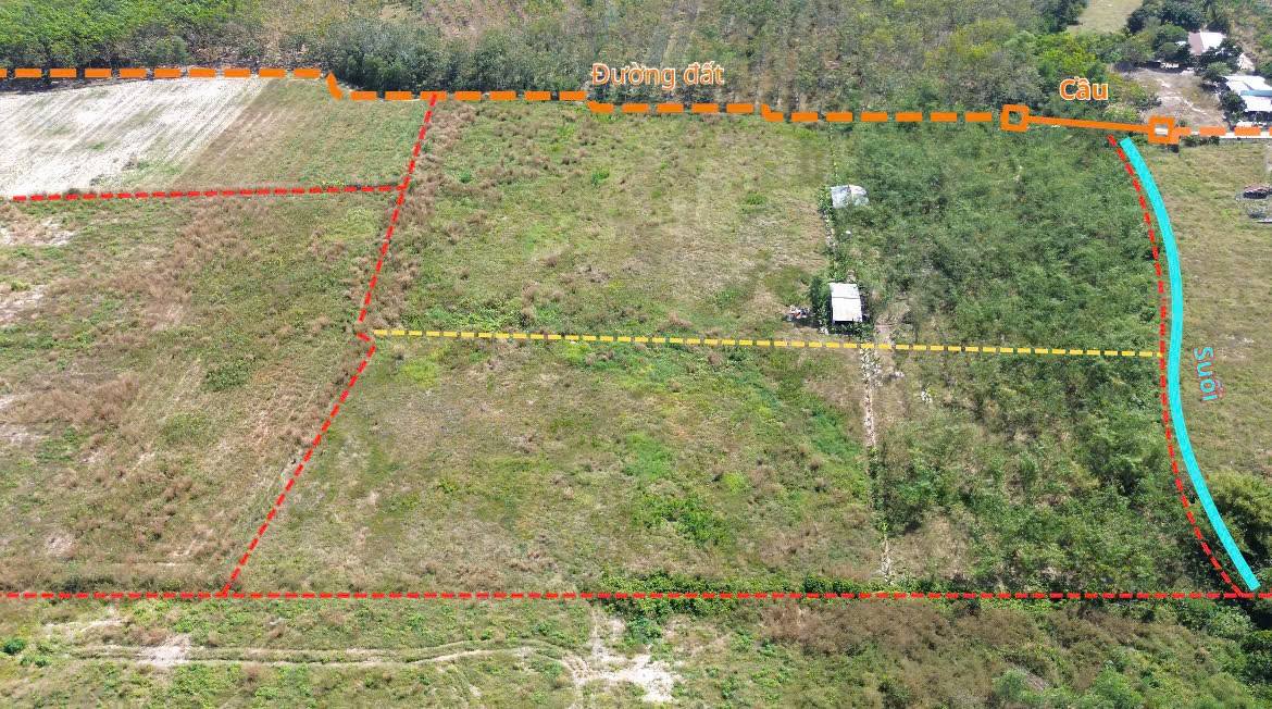 Đất nền 20.000m² tại Long Hòa, Dầu Tiếng - Cơ hội đầu tư tuyệt vời!