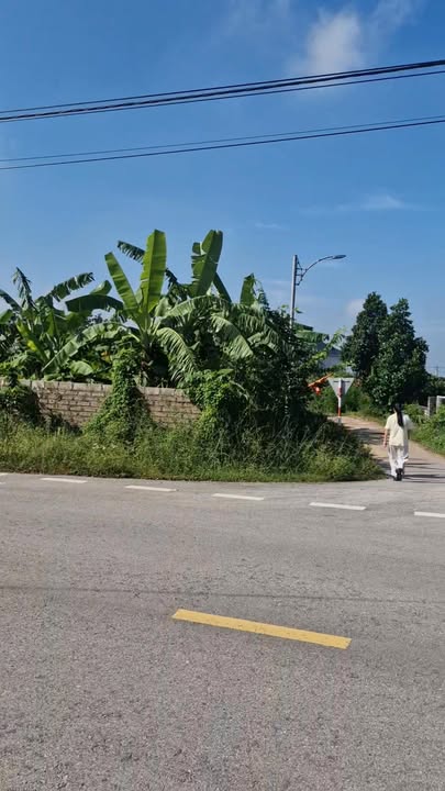 Đất nền Quý Sơn - Lục Ngạn 125m² giá thỏa thuận - Phù hợp kinh doanh!