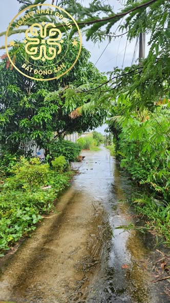 Đất nền lộ xi măng Phường 9 Cà Mau 300m² giá chỉ 700 triệu - Cơ hội đầu tư hấp dẫn!