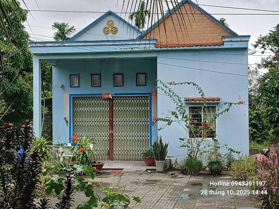 Đất nền 2.015,8m² tại Bình An, Châu Thành - Giá 3,17 tỷ - Nhà mái thái sẵn ở ngay!