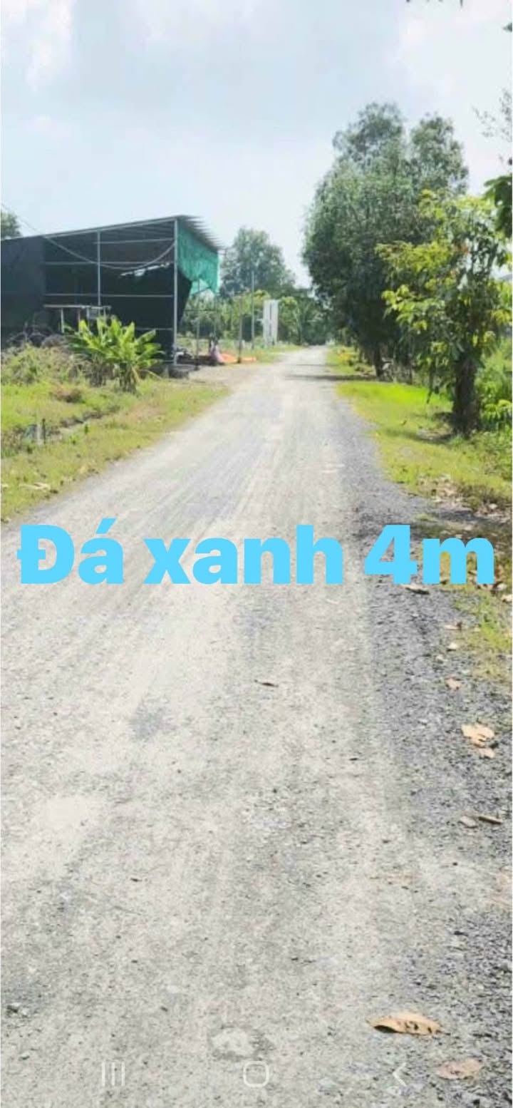 Đất thổ cư Cần Giuộc Long An 127m² giá 890 triệu - Sổ hồng chính chủ!