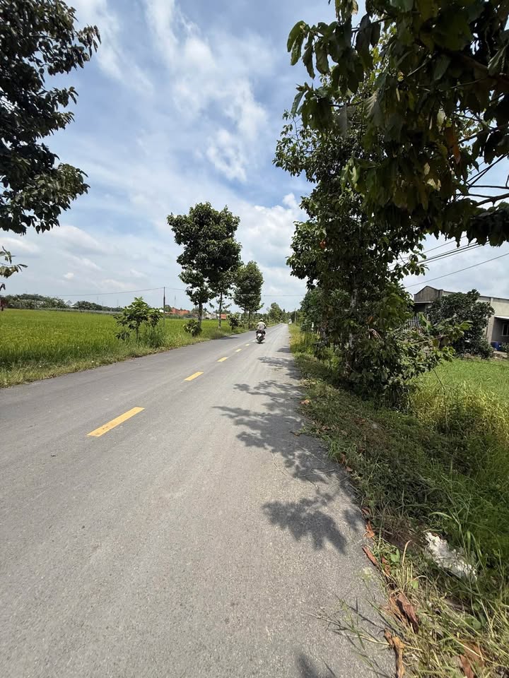 Đất thổ cư 444m² mặt tiền nhựa 8m tại Ấp Rừng Sến, Long An - Giá chỉ 4 tỷ!