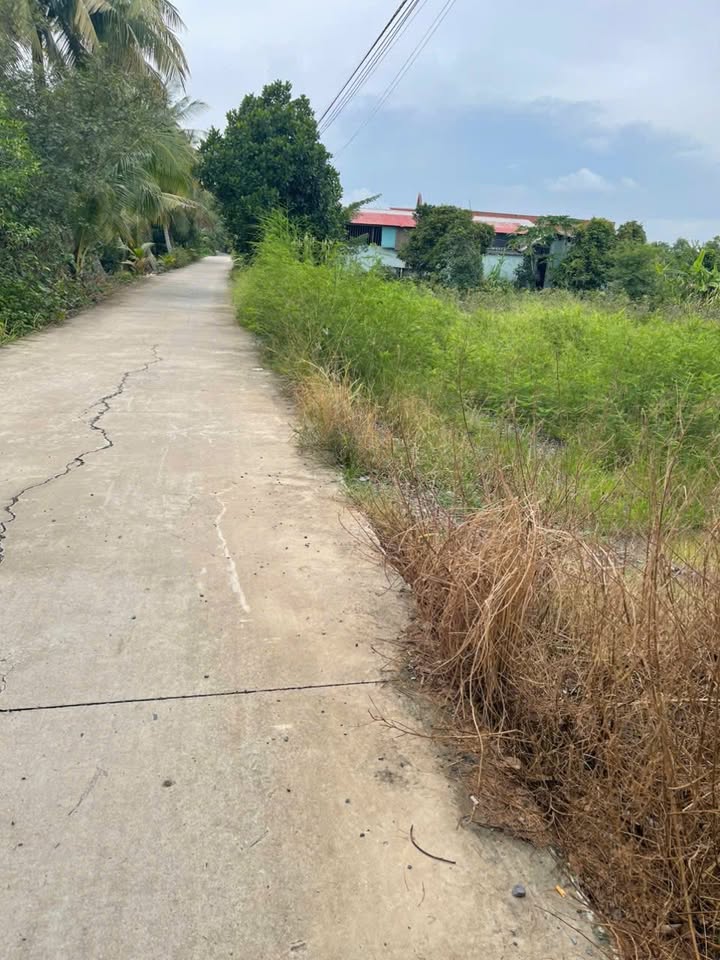 Đất nền ấp 8 Lương Hòa Bến Lức 1568m² giá 5.6 tỷ - Đầu tư sinh lời ngay!