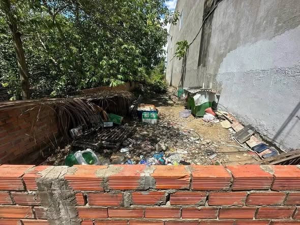 Đất thổ cư 142m² tại xã Tân Bửu, Bến Lức, giá 2.1 tỷ - Tiện ích xung quanh đa dạng!