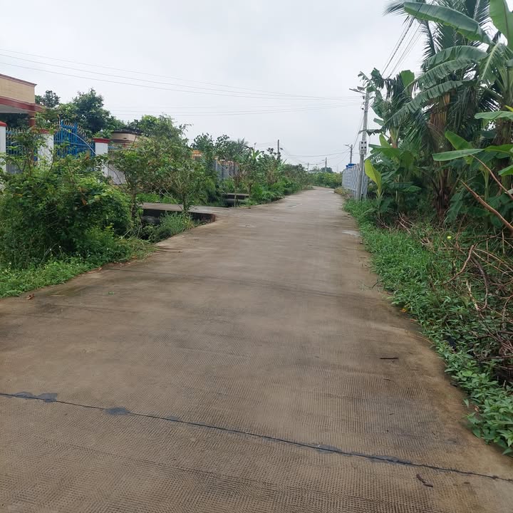 Đất nền Hướng Thọ Phú Tân An 3000m² giá 1.5 tỷ - Cơ hội đầu tư hấp dẫn!