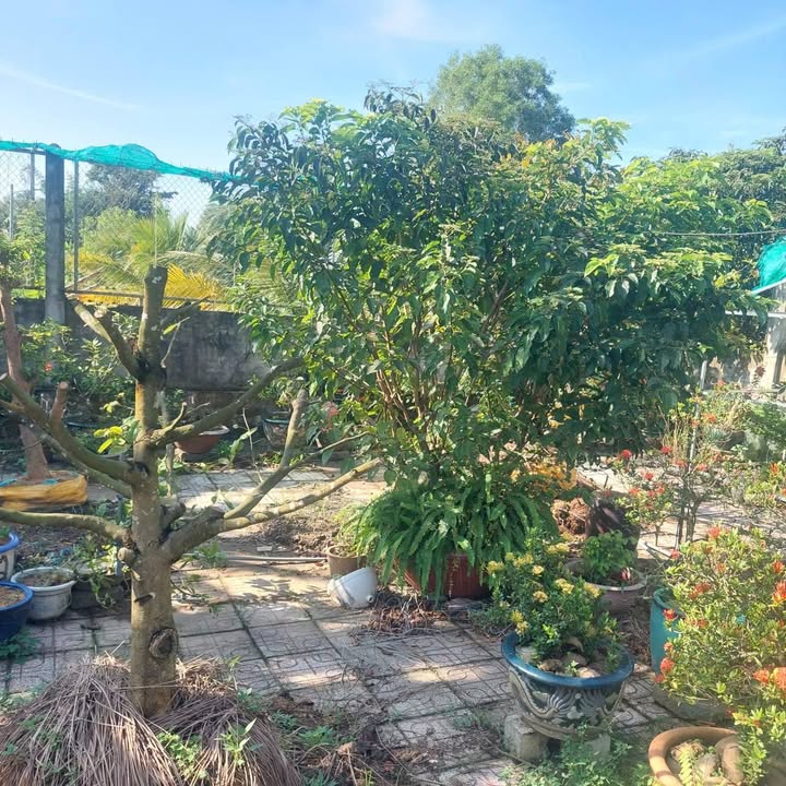 Nhà mặt tiền đường Nguyễn Văn Tiếp, Tân An 371m² giá 6.2 tỷ - Sân đậu ô tô thoải mái!