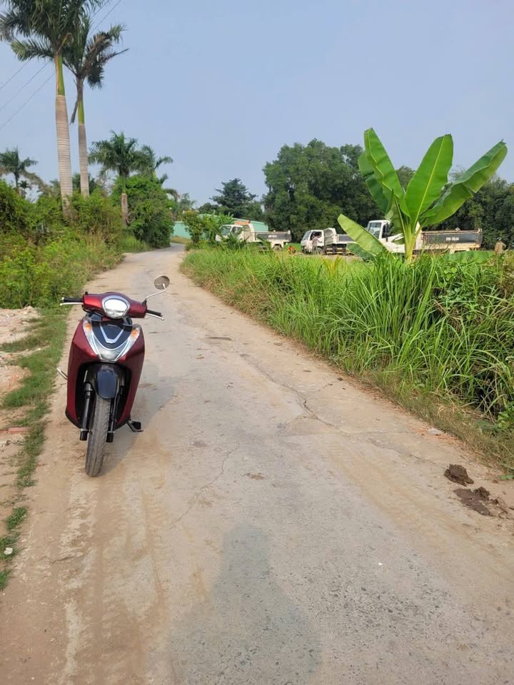 Đất thổ cư 100m² tại ấp 3A, xã Mỹ Yên, giá 1.37 tỷ - Cơ hội đầu tư tốt!