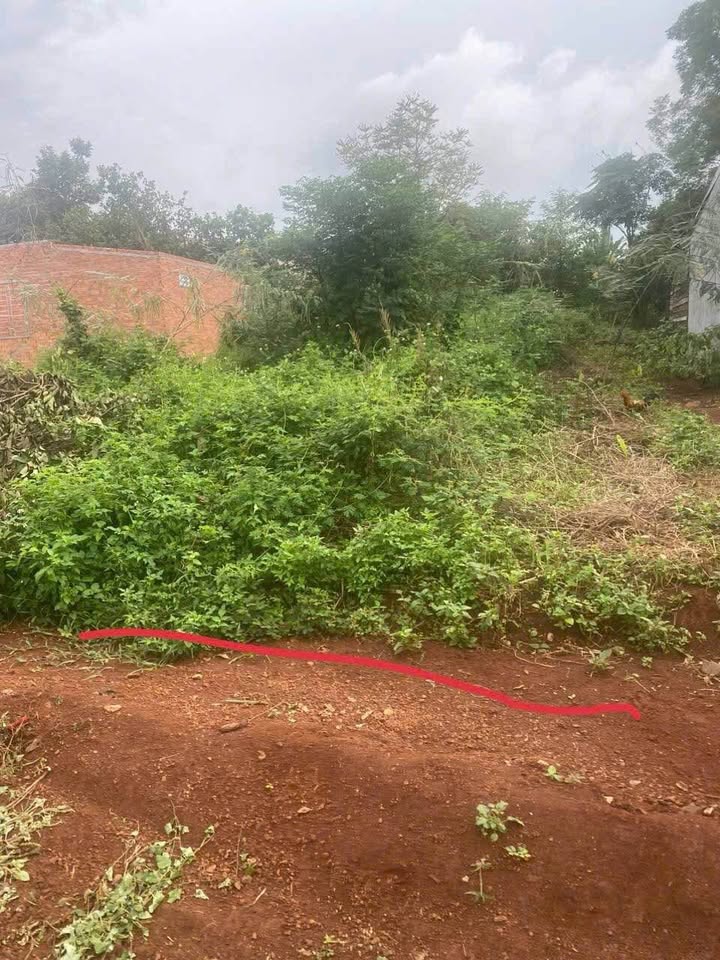 Đất nền Hòa Phú Buôn Ma Thuột 240m² giá 630 triệu - Pháp lý rõ ràng, tiện ích xung quanh