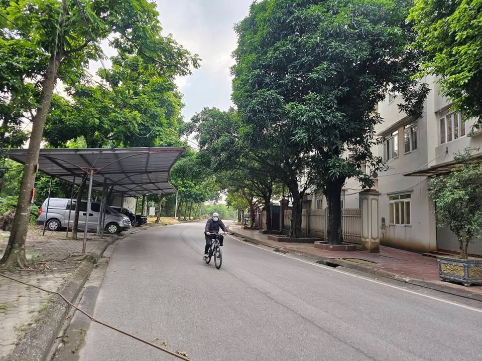 Lô đất biệt thự Đại Hoàng Long 237m² giá chỉ 1 tỷ - Cơ hội đầu tư hấp dẫn!