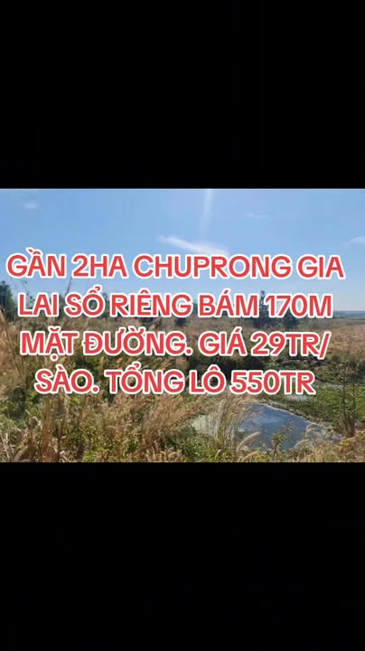 Đất nền 18622m² tại Gia Lai - Giá 550 triệu - Tiềm năng đầu tư cao!