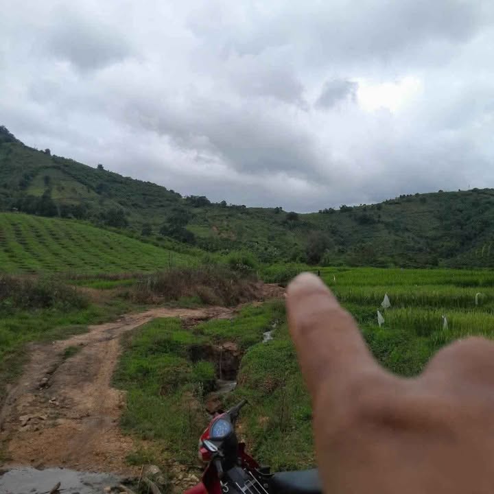 Đất nền Đăk Ui Đăk Hà 13.000m² giá 300 triệu - Sổ đỏ chính chủ sẵn sàng giao dịch!