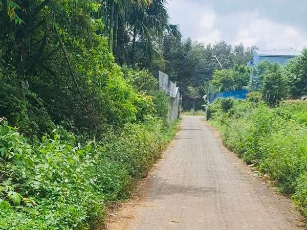 Đất nền liền kề KoTam, P. Tân An, 330m² chỉ 2.6 tỷ - Cơ hội đầu tư tuyệt vời!