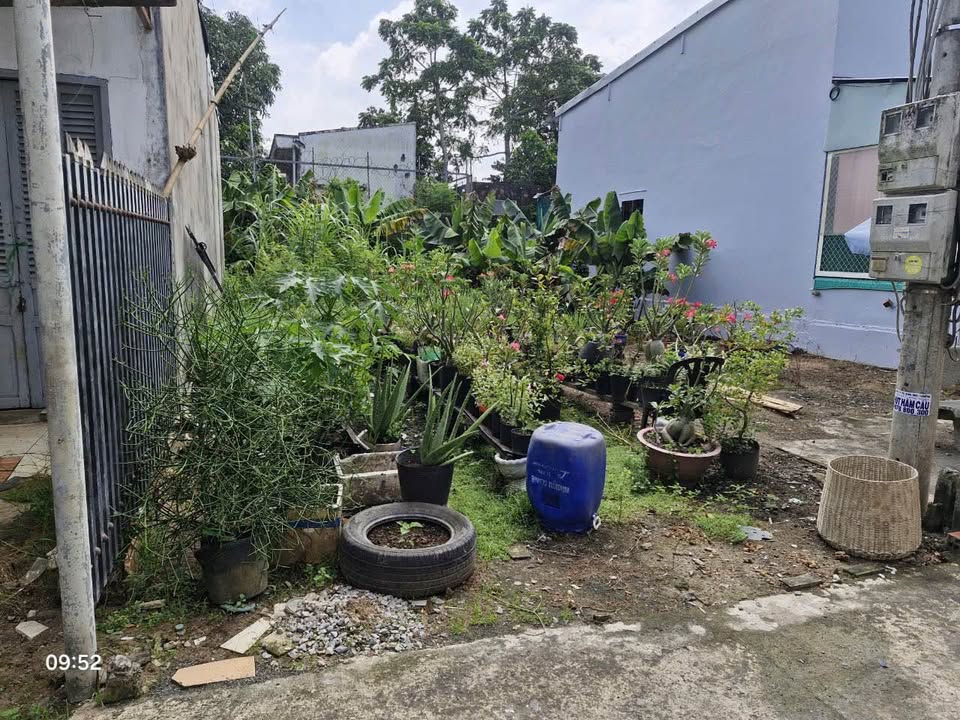 Đất nền ấp 3, xã Trung An, Mỹ Tho - Giá chỉ từ 250 triệu - Đầu tư sinh lời!