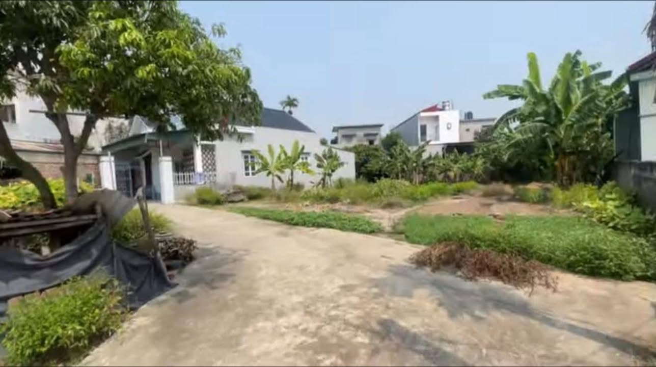 Đất nền Ngũ Hùng, Thanh Miện 87m² giá 800 triệu - Cơ hội đầu tư hấp dẫn!