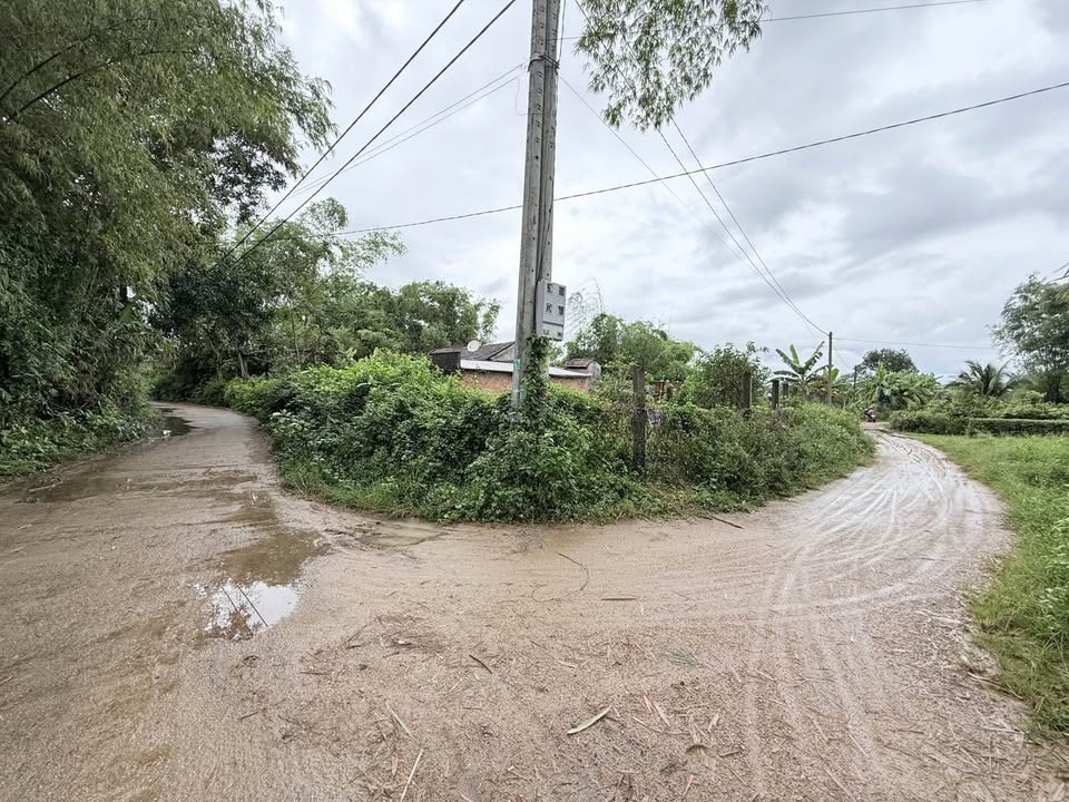 Đất nền Cát Trinh, Phù Cát 140m² giá 299 triệu - Lô góc đắc địa!