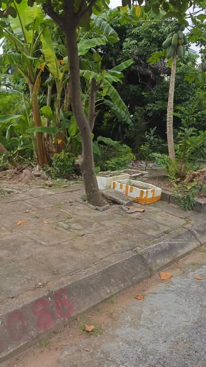 Đất nền Tái Định Cư Hoà Nghĩa Dương Kinh 100m² giá 2 tỷ - Cơ hội đầu tư tuyệt vời!