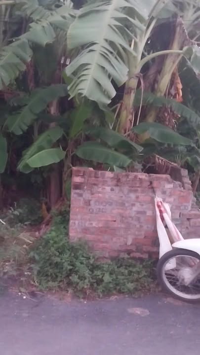 Đất thổ cư 80m² mặt tiền 4.5m - Đầu tư sinh lời tại Phúc Yên chỉ 1.8 tỷ!