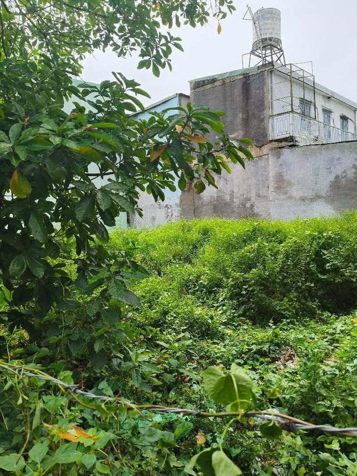 Đất nền Thới An, Q.12 - Diện tích 77m², giá chỉ 5.2 tỷ - Cơ hội đầu tư hấp dẫn!