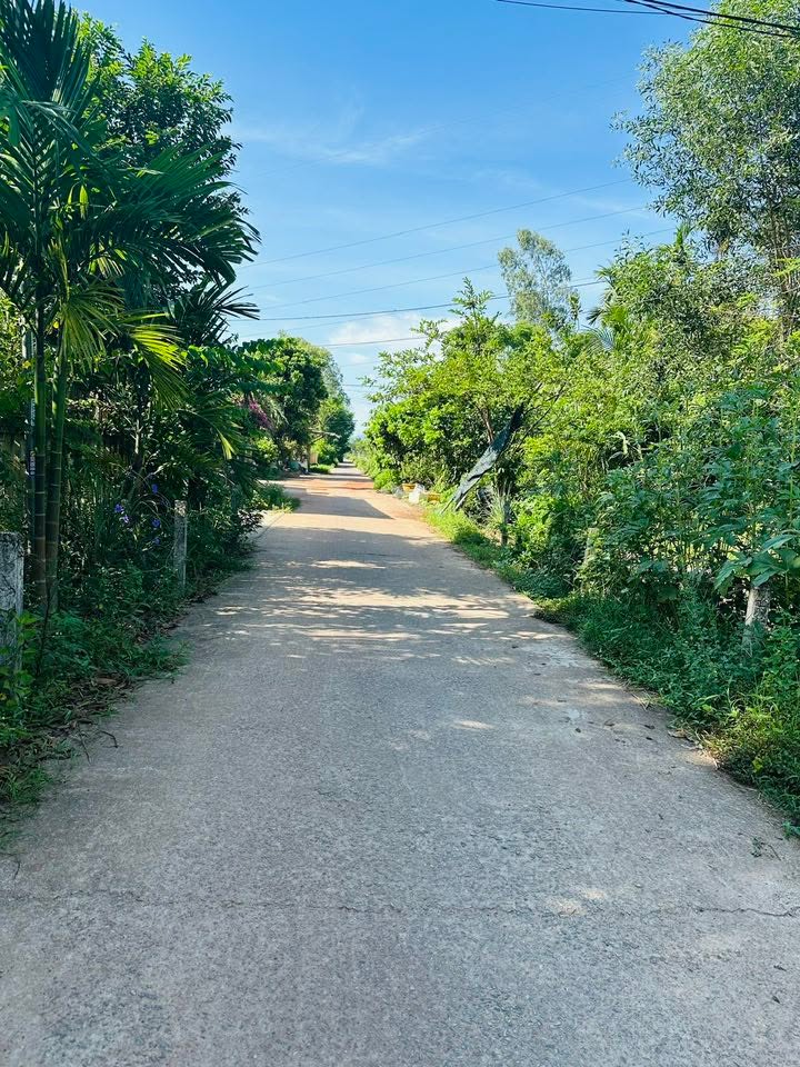 Đất vườn Tam Ngọc 720m² giá 1.6 tỷ - Phù hợp làm nhà vườn lý tưởng!