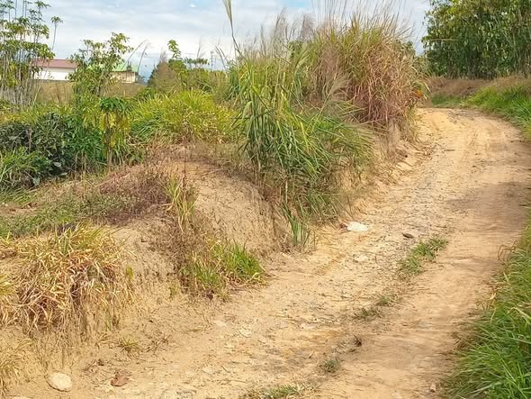 Đất nền Lộc Châu Bảo Lộc 800m² giá 1.1 tỷ - Đầu tư sinh lời ngay!