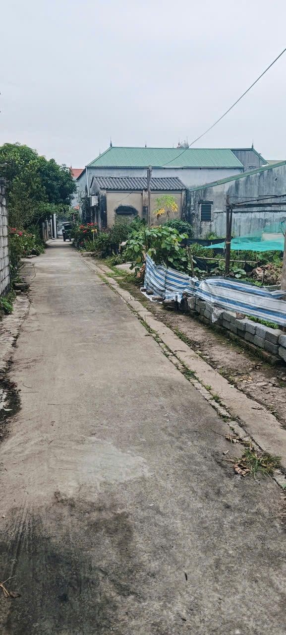 Đất nền Thôn Thượng, Văn Hoàng, Phú Xuyên 61.7m² giá chỉ 1.6 tỷ - Đường ô tô đỗ cửa!