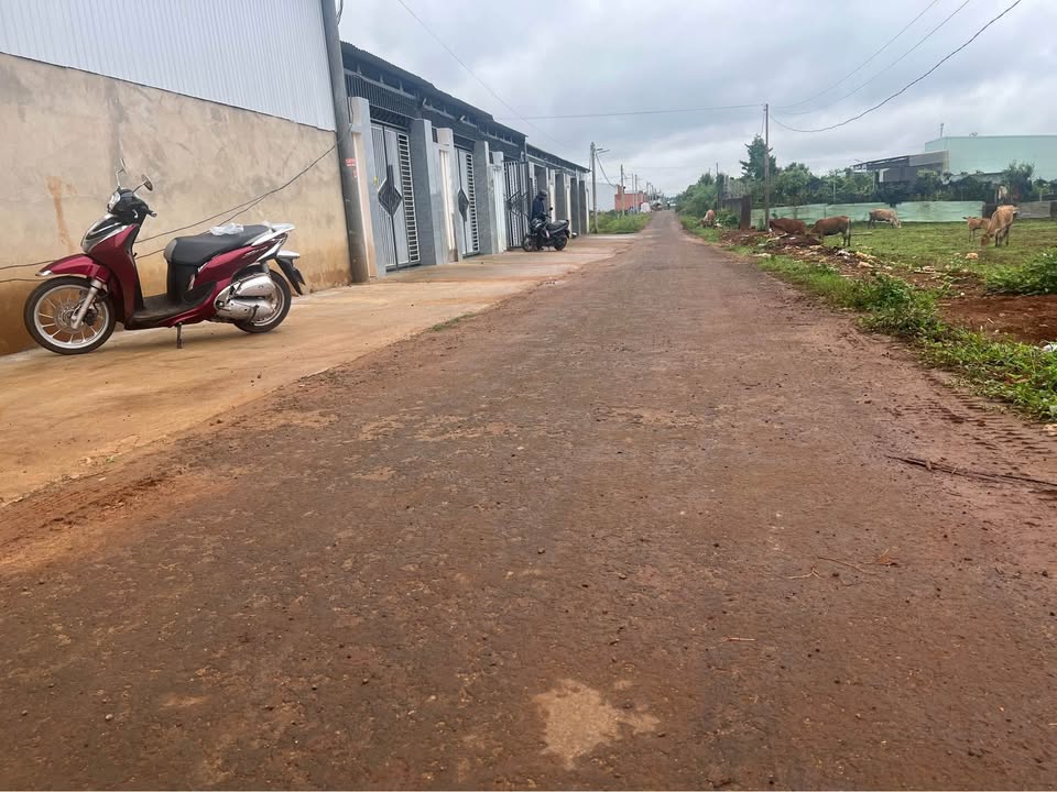 Đất nền Nguyễn Kiệm Pleiku 100m² - Thổ cư 100% - Giá thỏa thuận hấp dẫn!