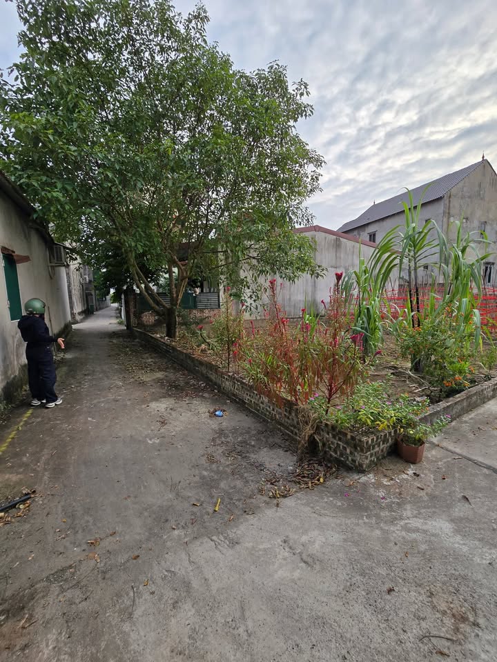 Đất thổ cư Xuân Lâm, Thuận Thành 45m² giá chỉ từ 2 tỷ - Cơ hội đầu tư hấp dẫn!