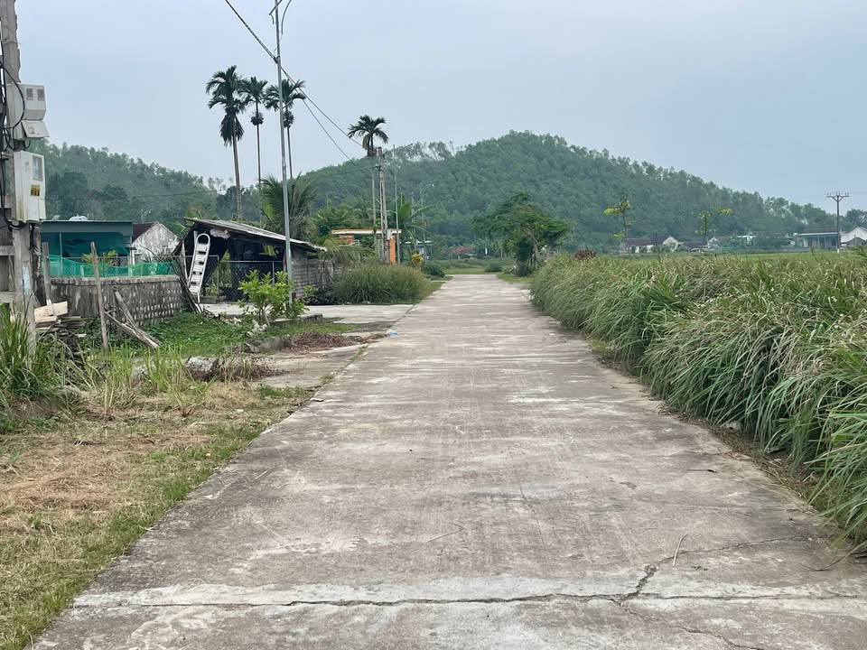 Đất nền khu phố Tân Sơn, Bình Minh 668.5m² giá tốt - Cơ hội đầu tư hấp dẫn!