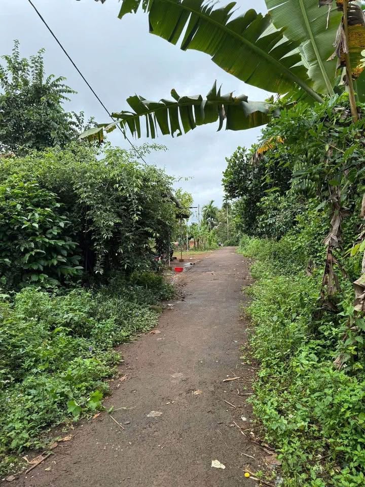 Đất nền Hòa Thắng 273.9m² giá 899 triệu - Vị trí đẹp, đầu tư sinh lời