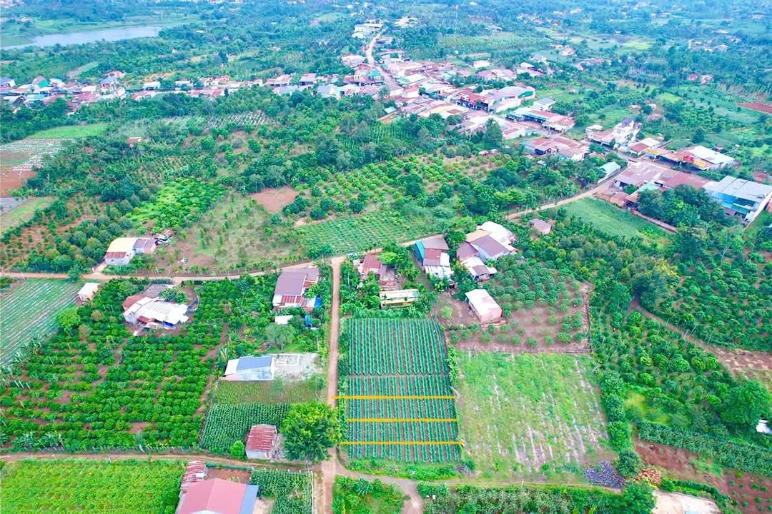 Đất nền đẹp Cư Kuin 150m² giá chỉ 229 triệu - Đầu tư sinh lời ngay!