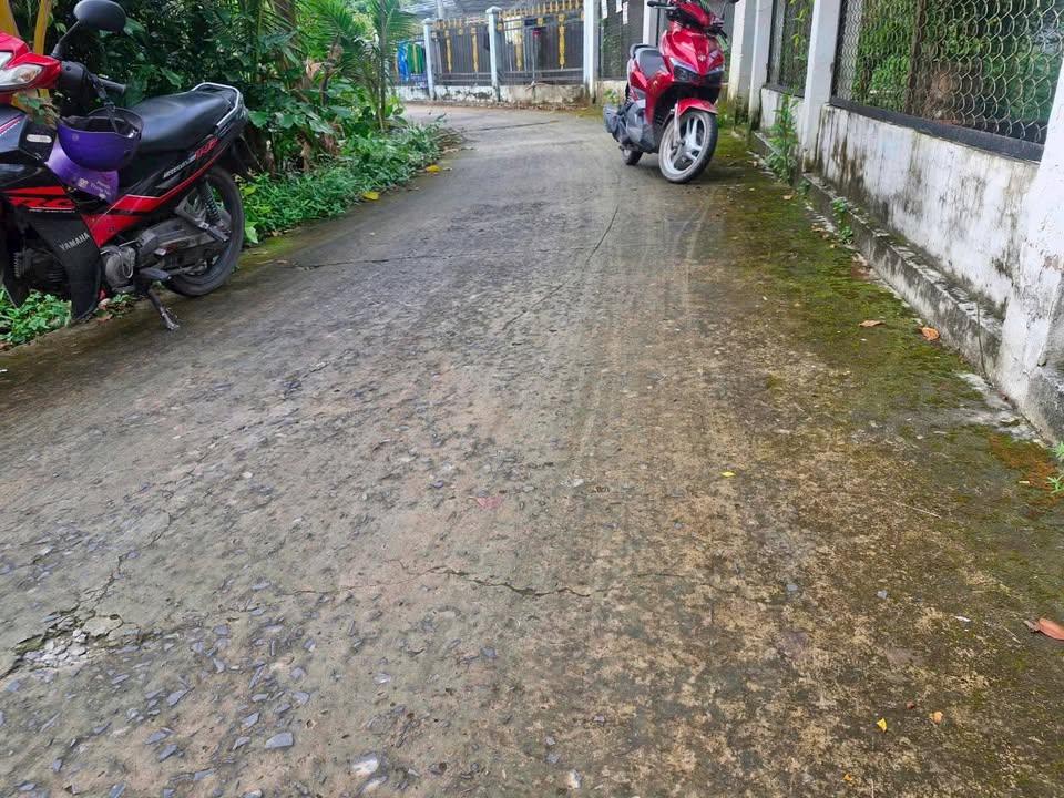 Đất nền Mỹ Thọ, Cao Lãnh 264m² giá 1 tỷ - Cơ hội đầu tư hấp dẫn!