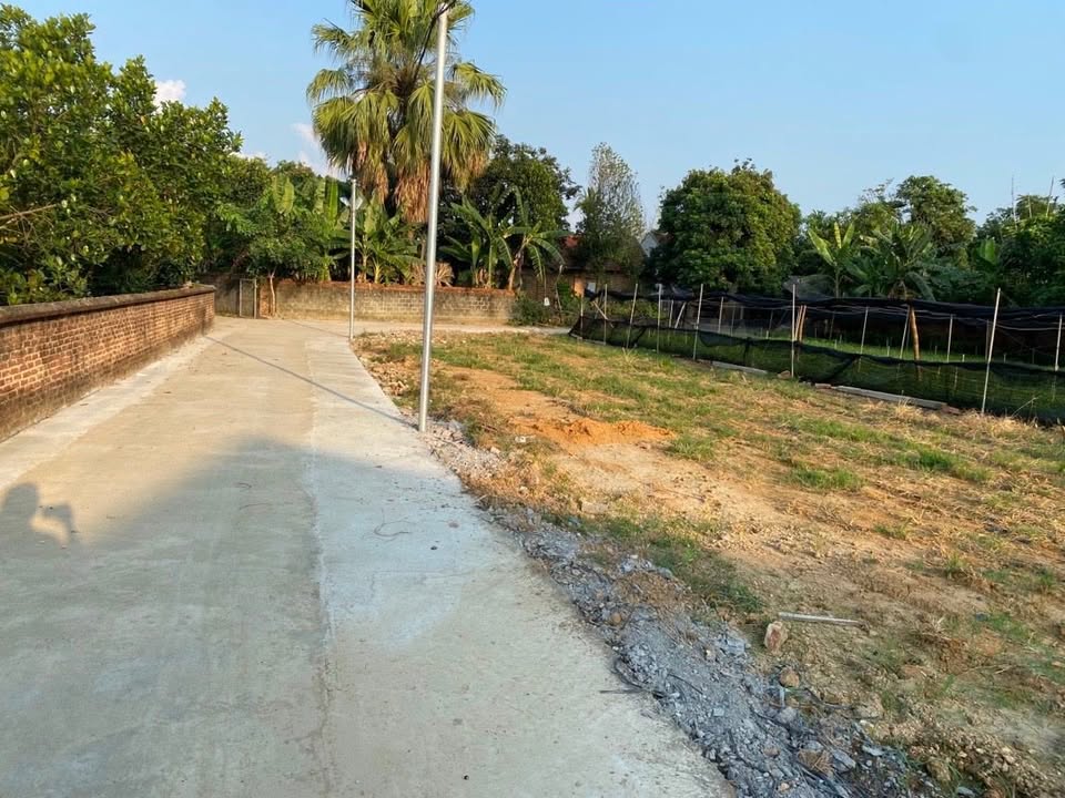 Đất thổ cư Sơn Hùng, Thanh Sơn 120m² giá 550 triệu - Sổ đỏ chính chủ!