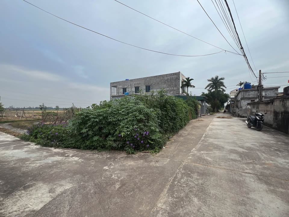 Đất nền Vũ Lăng Tiền Hải 150m² giá 700 triệu - Cơ hội đầu tư hấp dẫn!